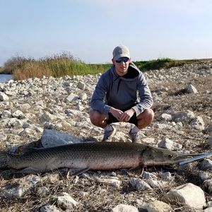 Meet your Posher, Ross